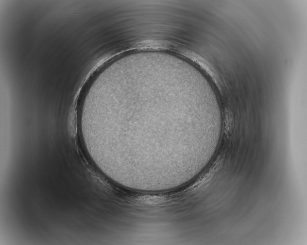 X0000093481075200711091622
