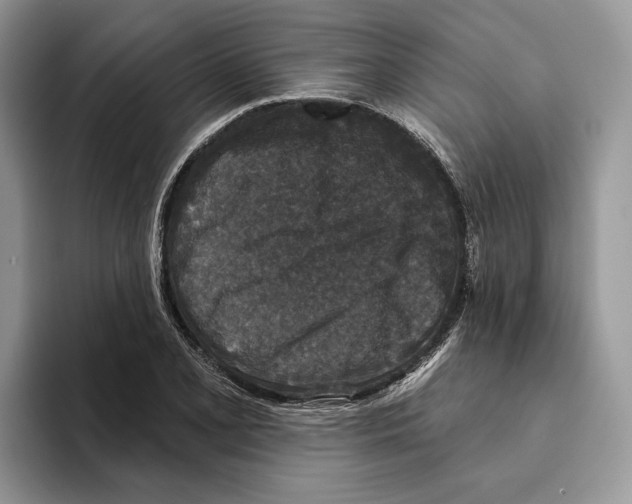 X0000093481077200711091622