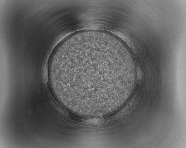 X0000093481078200711091622
