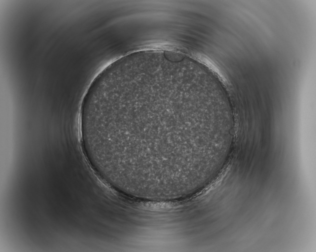 X0000093481079200711091622