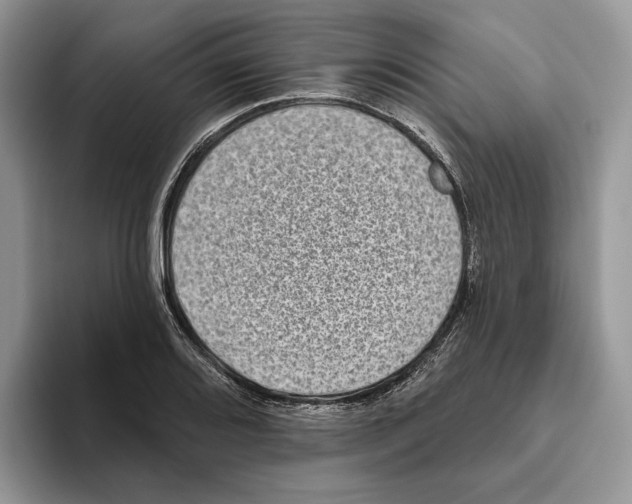 X0000093481080200711091622
