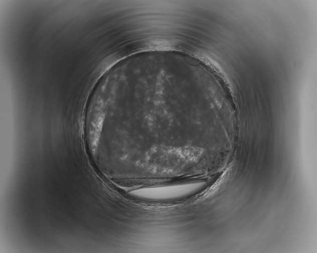 X0000093481081200711091622