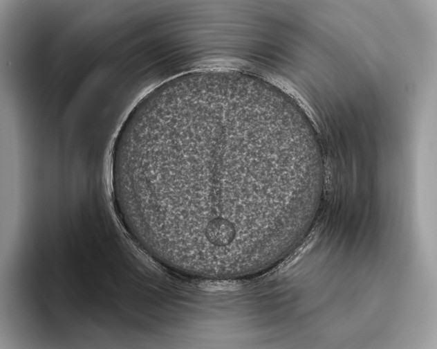X0000093481083200711091622