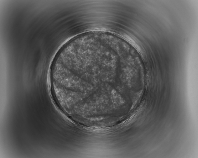 X0000093481084200711091622