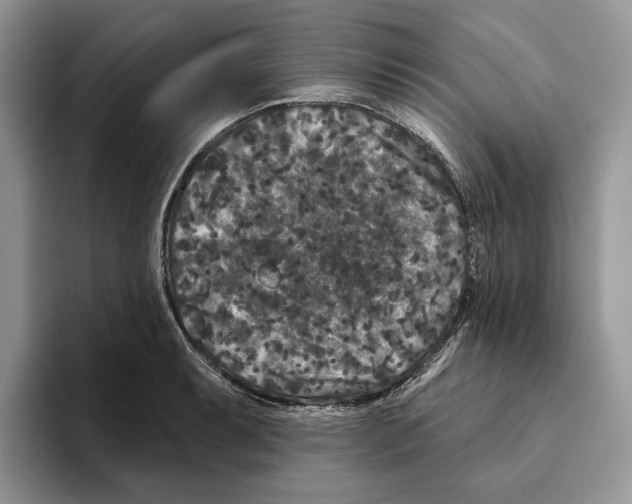 X0000093481087200711091622