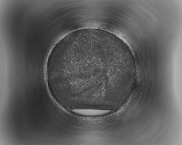 X0000093481088200711091622