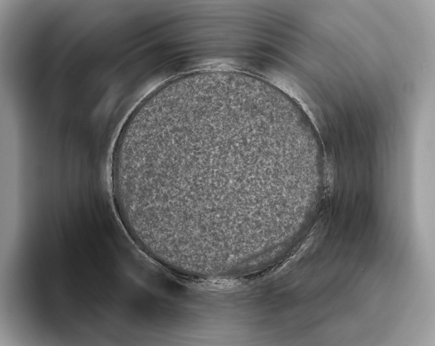 X0000093481090200711091622