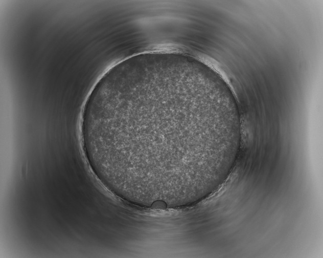 X0000093481091200711091622