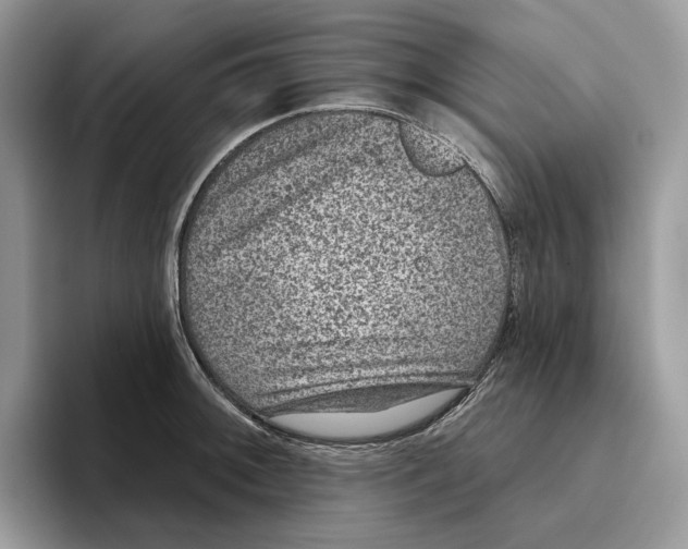 X0000093481092200711091622