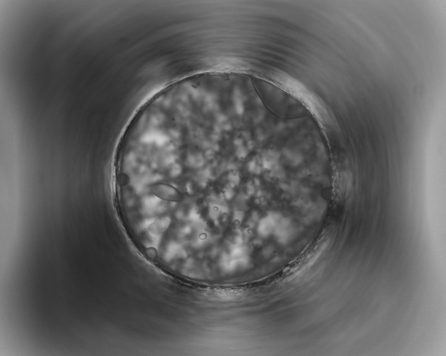 X0000093481095200711091622