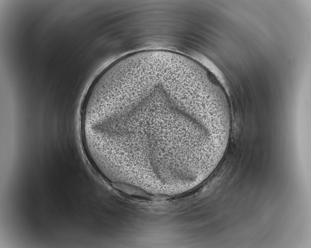 X0000093481096200711091622