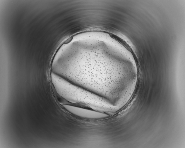 X0000093481097200711091622