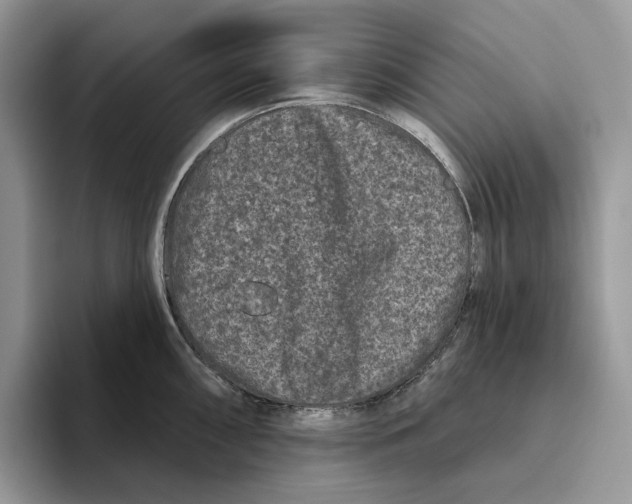 X0000093481098200711091622