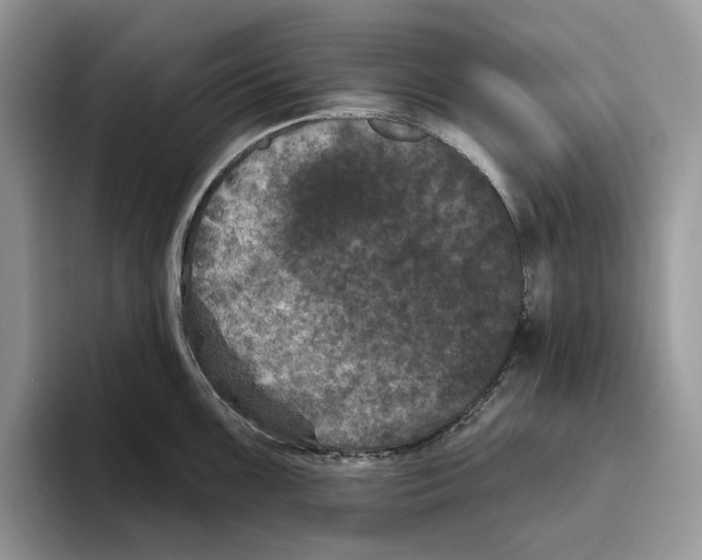 X0000093481099200711091622
