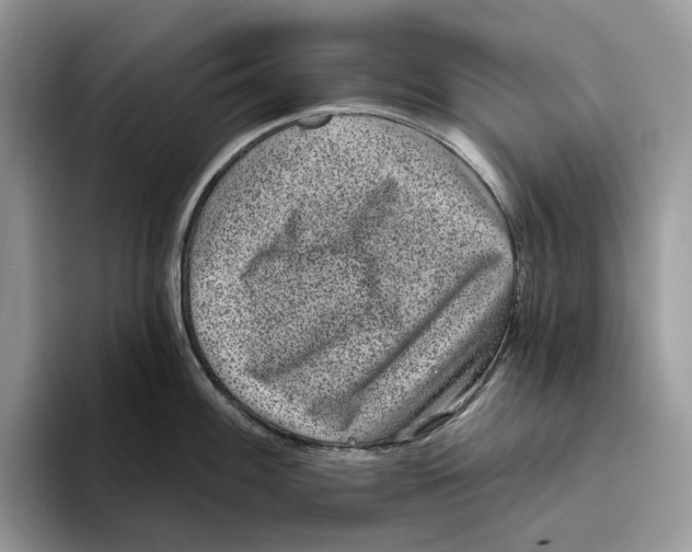 X0000093481100200711091622