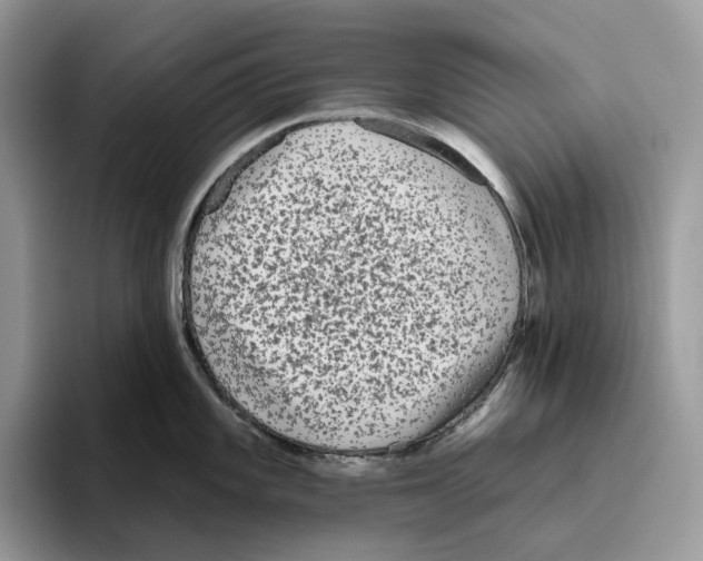 X0000093481101200711091622