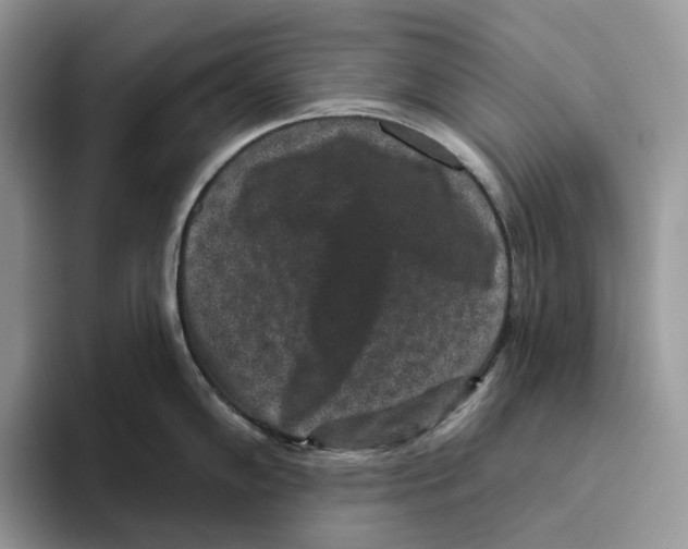 X0000093481102200711091622