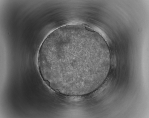 X0000093481103200711091622