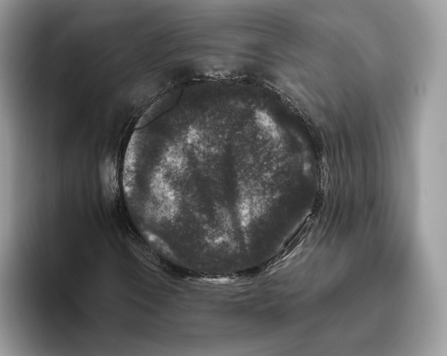 X0000093481106200711091621