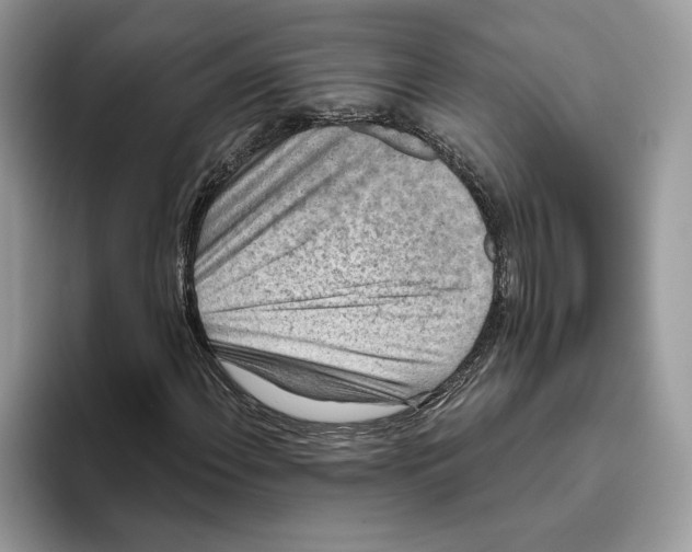 X0000093481108200711091621