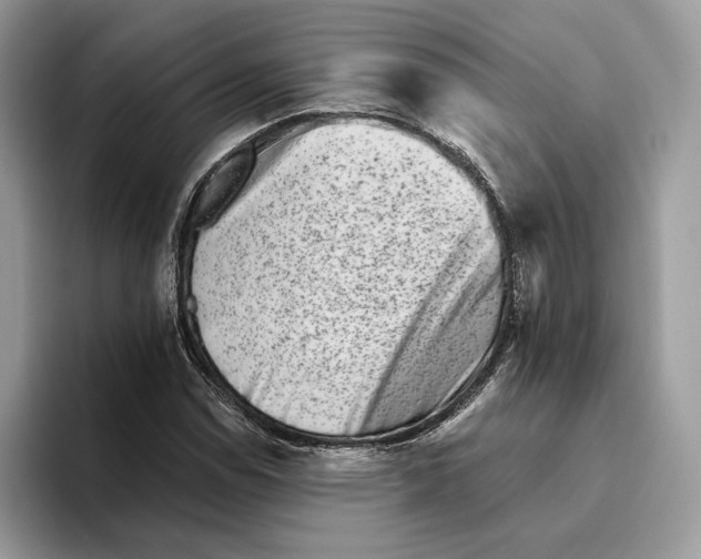 X0000093481114200711091621