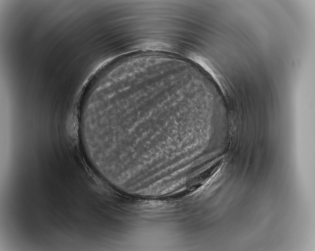 X0000093481115200711091621