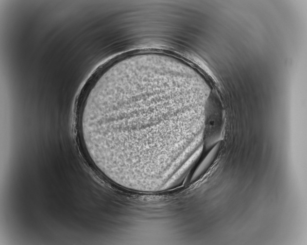 X0000093481116200711091621