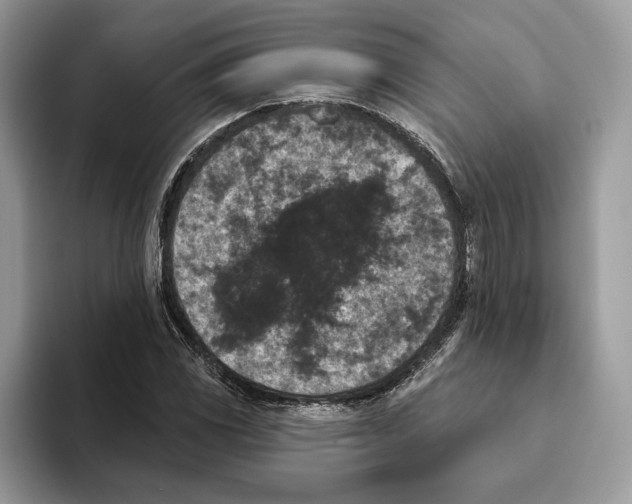 X0000093481117200711091621