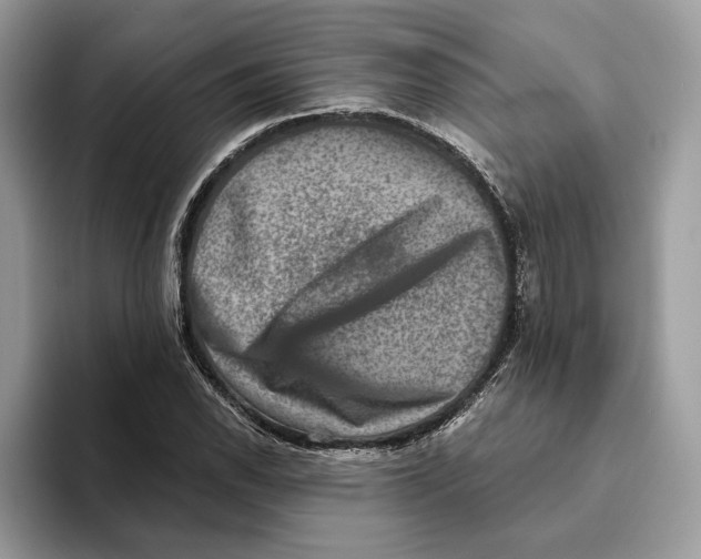 X0000093481118200711091621