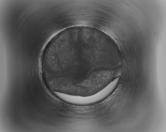 X0000093481120200711091621