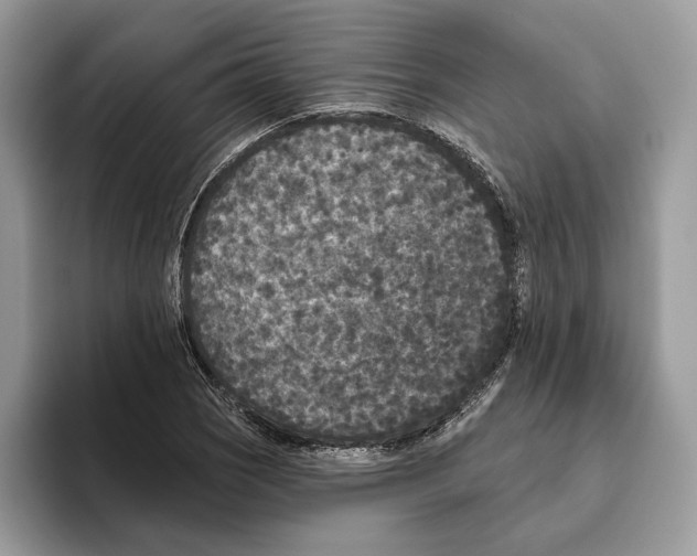 X0000093481121200711091621