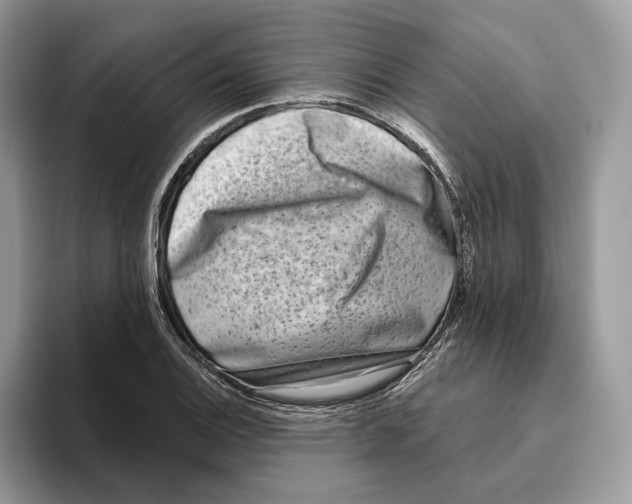 X0000093481124200711091621