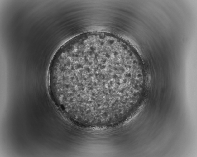 X0000093481125200711091621