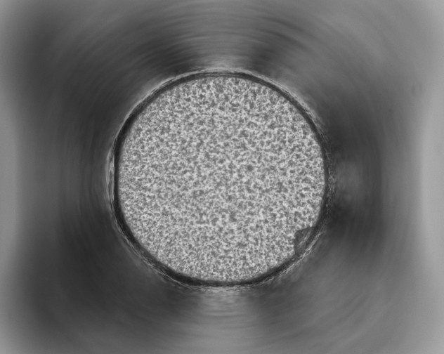 X0000093481126200711091621