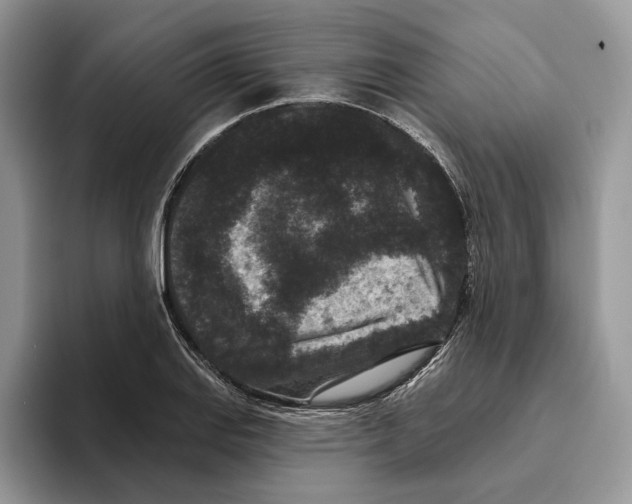 X0000093481127200711091621