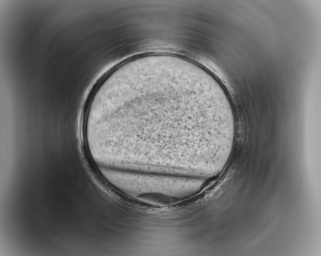 X0000093481128200711091621