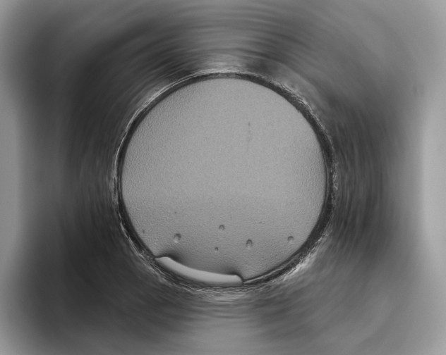 X0000093481129200711091621