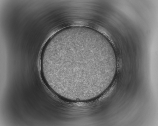 X0000093481130200711091621