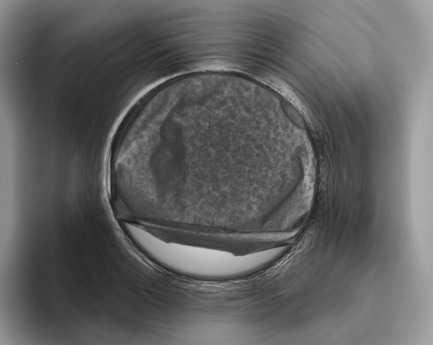 X0000093481132200711091621