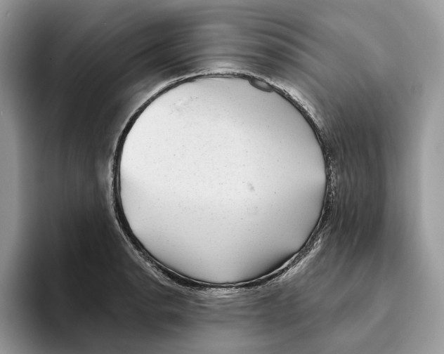 X0000093481134200711091621