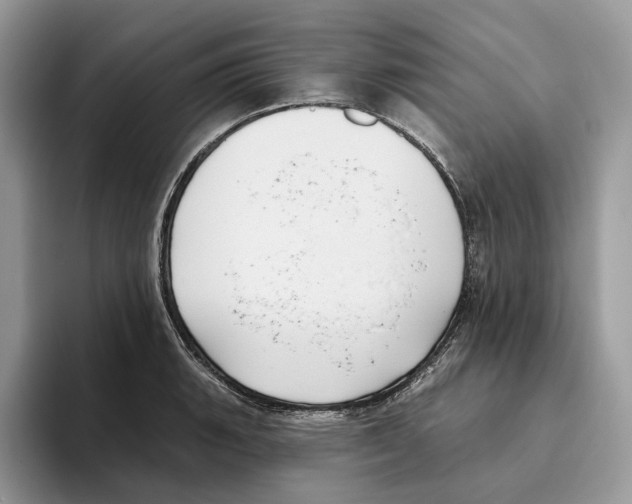 X0000093481135200711091621