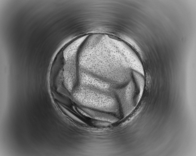 X0000093481138200711091621