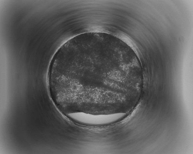 X0000093481141200711091621