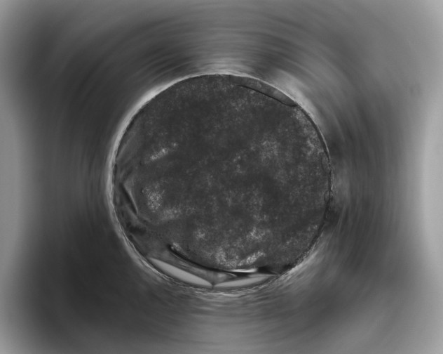 X0000093481144200711091621