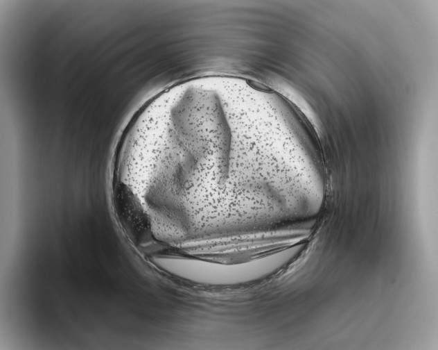 X0000093481146200711091621