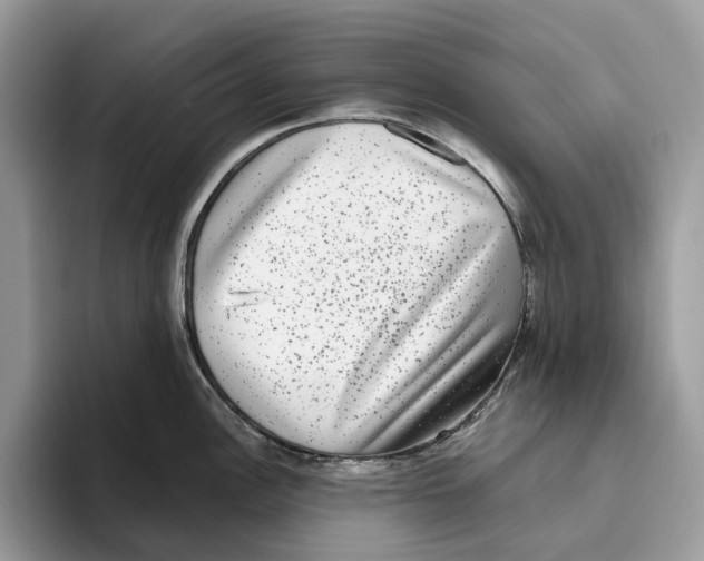 X0000093481148200711091621