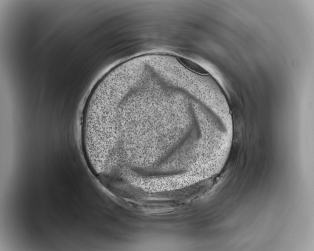 X0000093481151200711091621