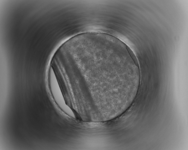 X0000093481152200711091622