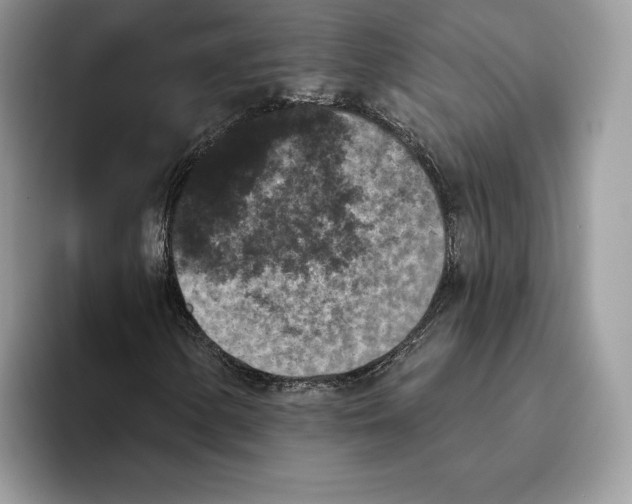 X0000093481154200711091621