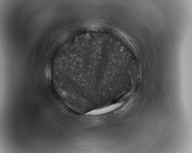 X0000093481155200711091621